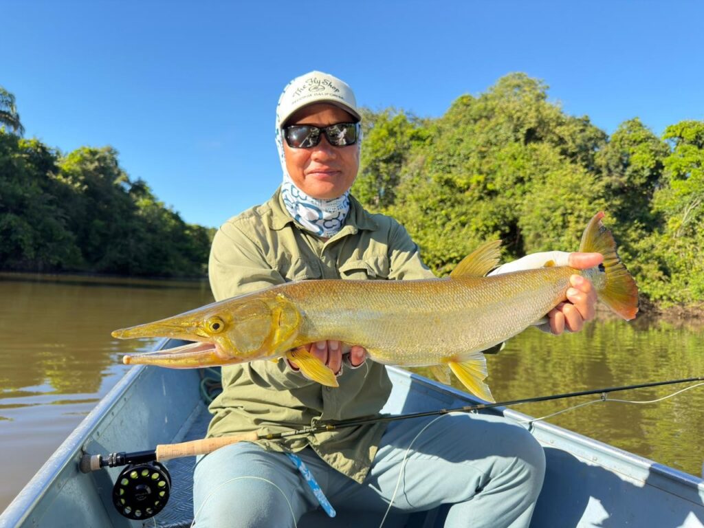 Brazil, Xingu River, 2026 season fishing reports 
