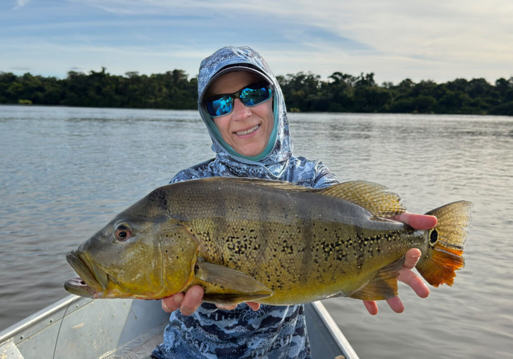 Brazil, Xingu River, 2026 season fishing reports 