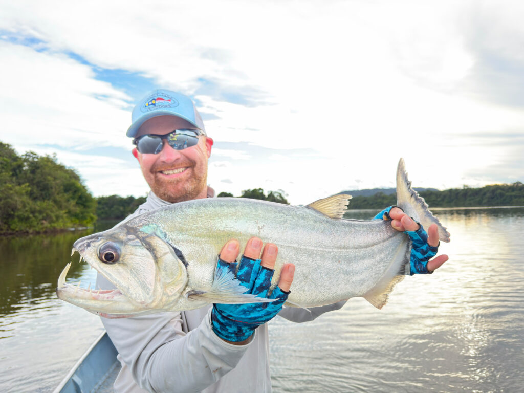 Brazil, Xingu River, 2026 season fishing reports