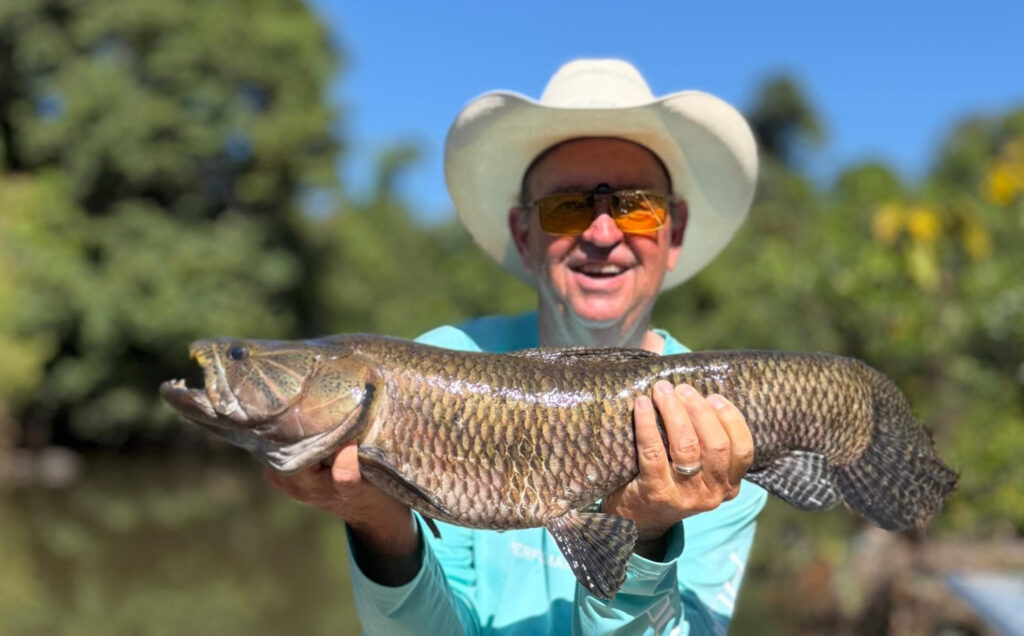 Brazil, Xingu River, 2026 season fishing reports