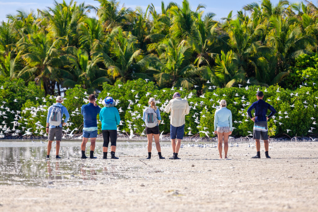 Alphonse Island, Island Season, reef walk, Seychelles, Aardvark McLeod