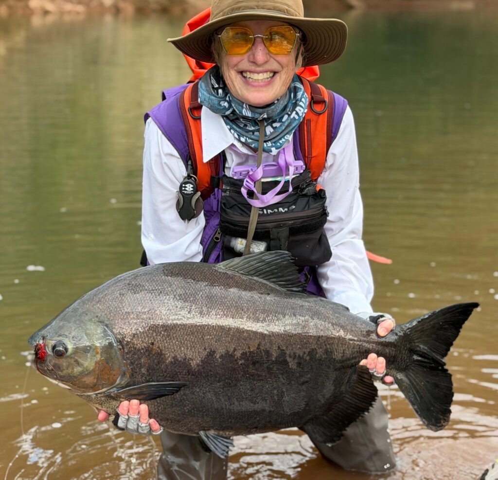 Tsimane fishing reports 2026, Agua Negra, Sécure, Pluma rivers.