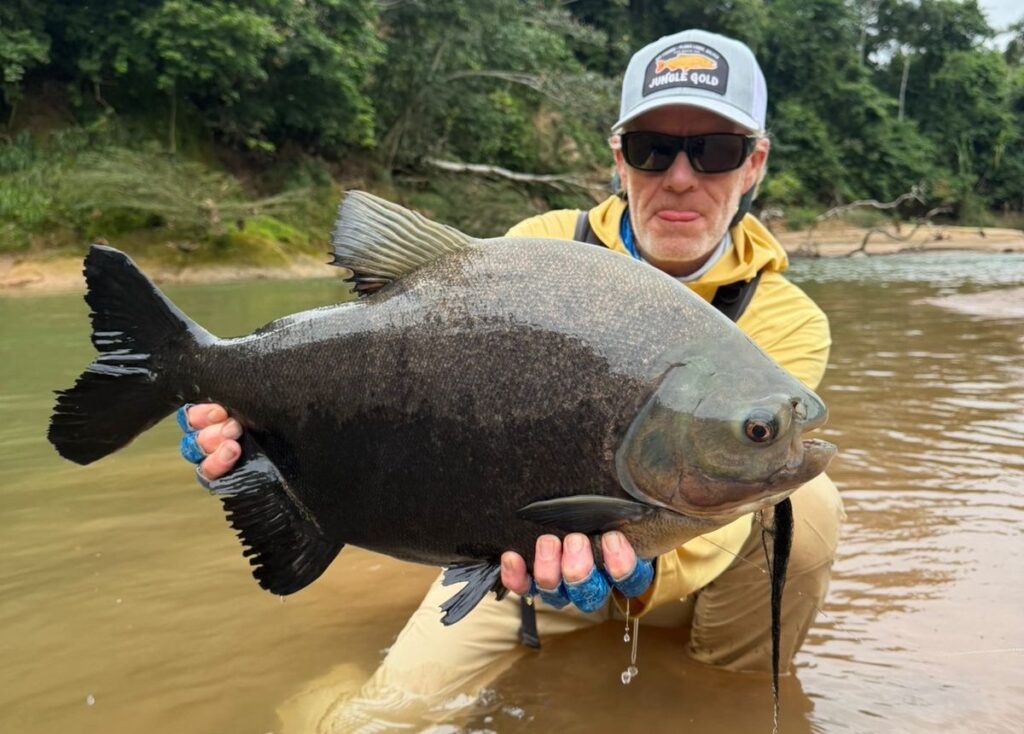 Tsimane fishing reports 2026, Agua Negra, Sécure, Pluma rivers.