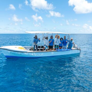 Alphonse Island Shark tagging project