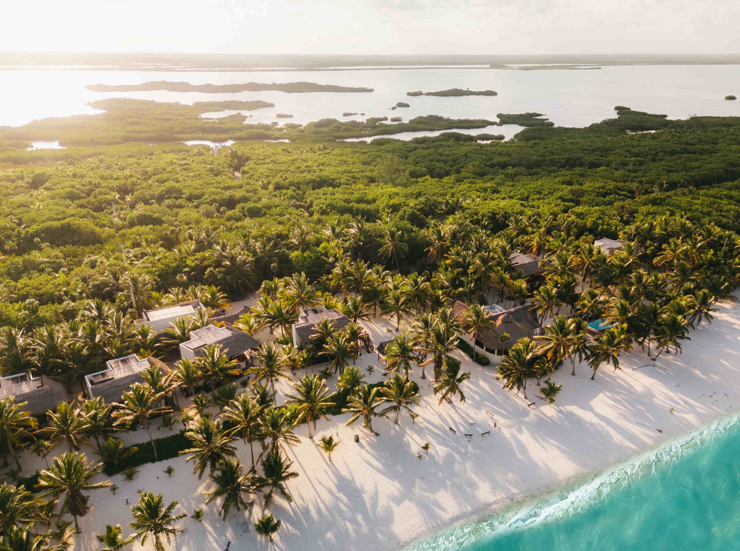 Sian Ka'An Lodge, Blue Safari Mexico, Aardvark McLeod