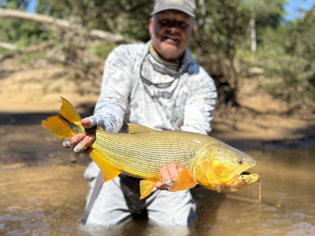 Tsimane fishing reports 2026, Agua Negra, Sécure, Pluma rivers. 