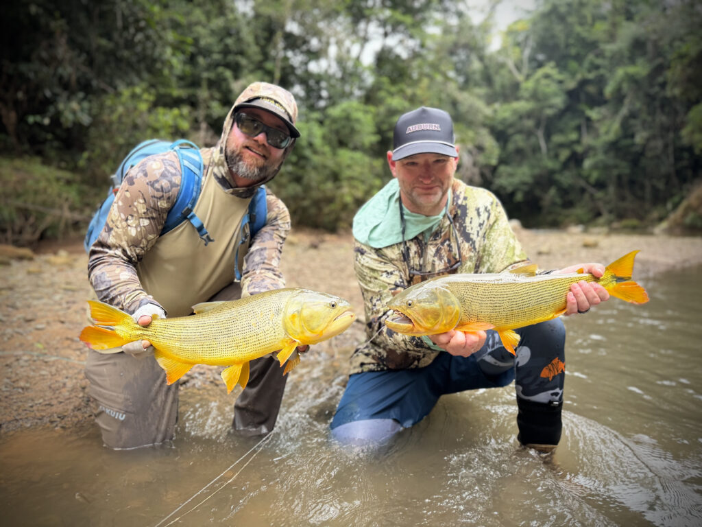 Tsimane fishing reports 2026, Agua Negra, Sécure, Pluma rivers. 