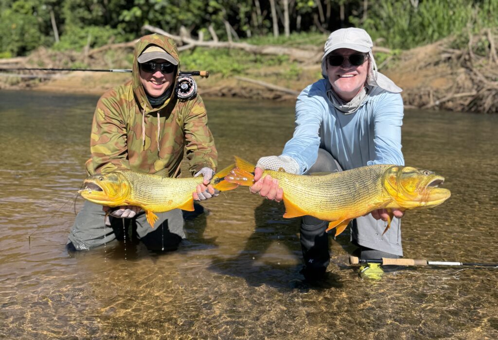 Tsimane fishing reports 2026, Agua Negra, Sécure, Pluma rivers. 
