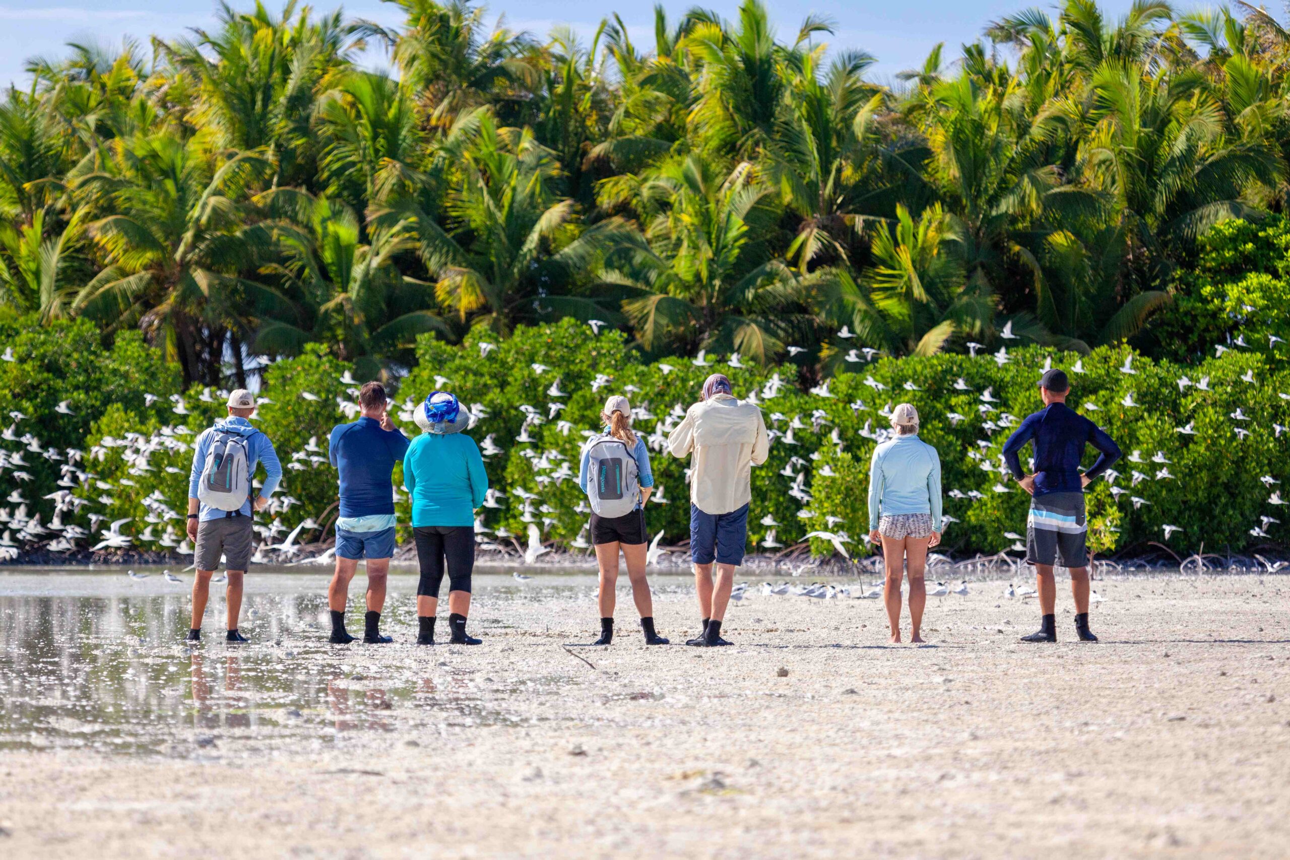 Alphonse Island, Island Season Special, Aardvark McLeod