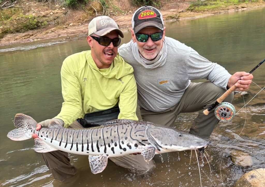 Tsimane fishing reports 2026, Agua Negra, Sécure, Pluma rivers. 