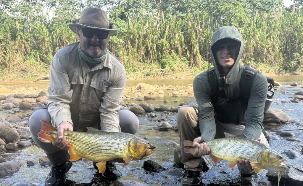 Tsimane fishing reports 2026, Agua Negra, Sécure, Pluma rivers. 