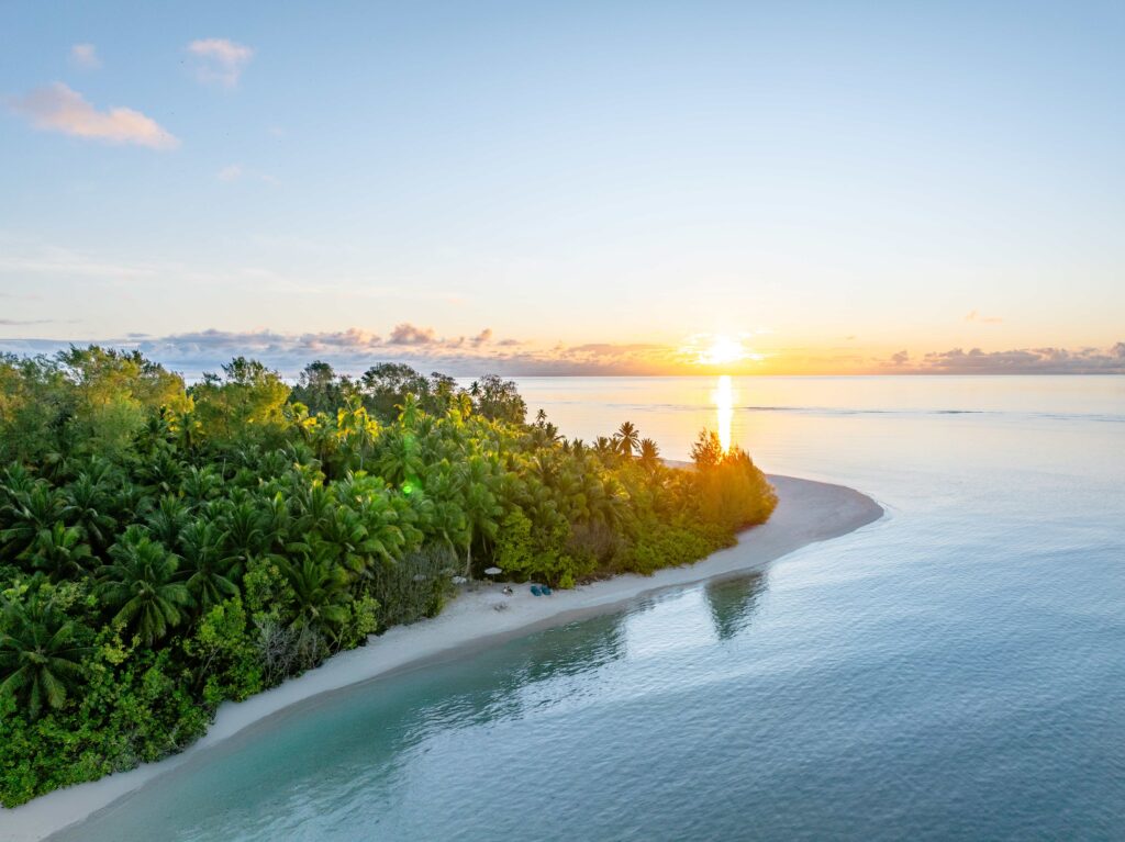 Seychelles, Alphonse Island, July island sightings and marine highlights, beach bar