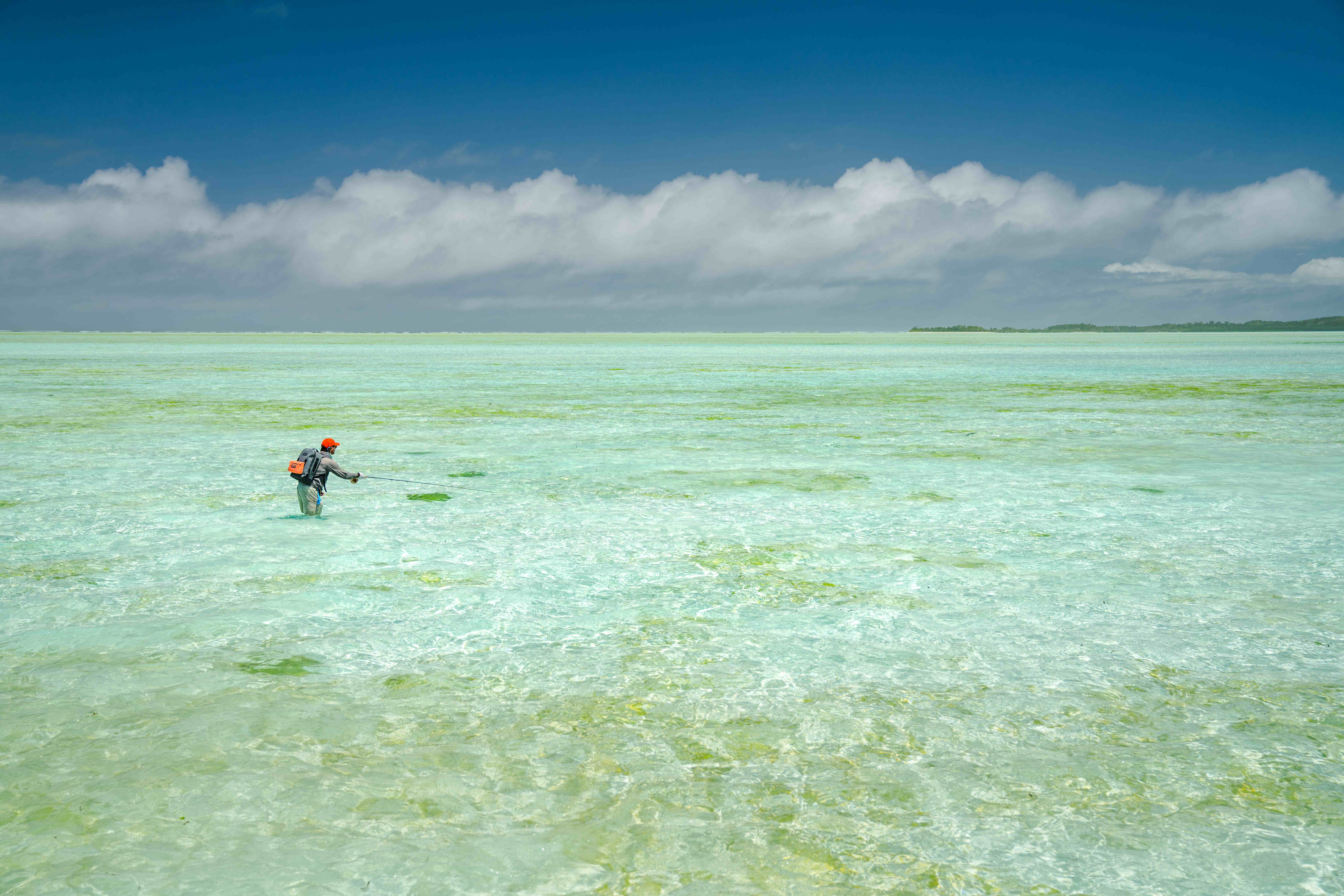 Alphonse Island, Seychelles, Aardvark McLeod