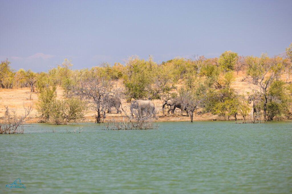 Lake Nyerere, Tanzania, Tigerfishing, Aardvark McLeod