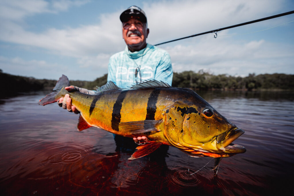 Brazil, peacock bass, Rio Marie, 2026/27 fishing reports, Aardvark McLeod