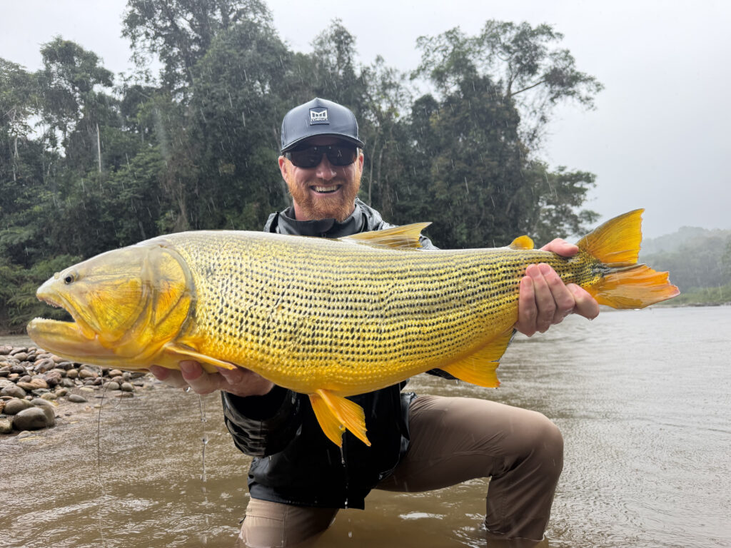 Tsimane fishing reports 2026, Agua Negra, Sécure, Pluma rivers. Aardvark McLeod