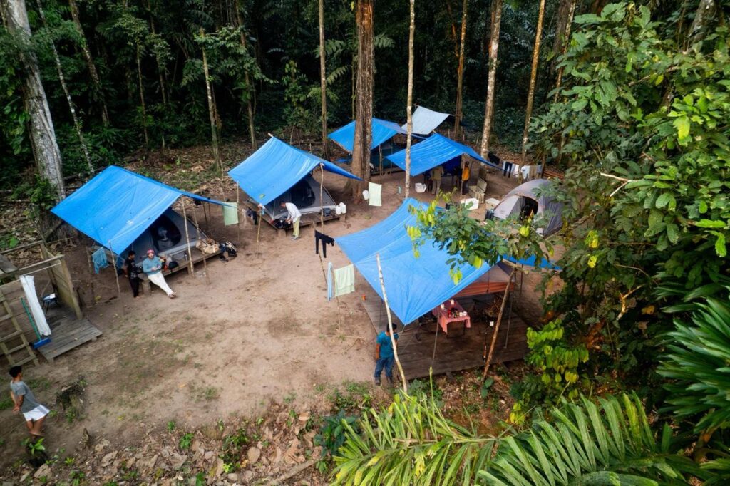 Tsimane fishing reports 2026, Agua Negra, Sécure, Pluma rivers.