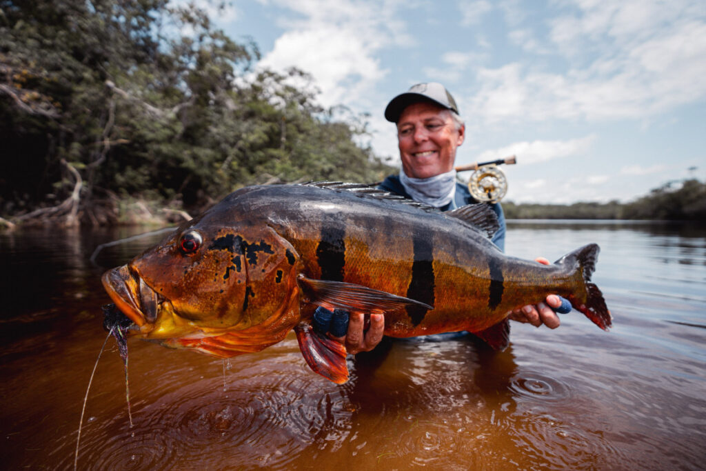 Brazil, peacock bass, Rio Marie, 2026/27 fishing reports, Aardvark McLeod