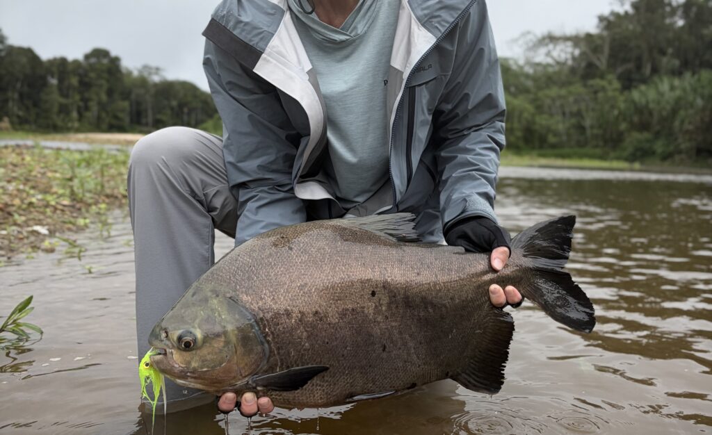 Tsimane fishing reports 2026, Agua Negra, Sécure, Pluma rivers. Aardvark McLeod