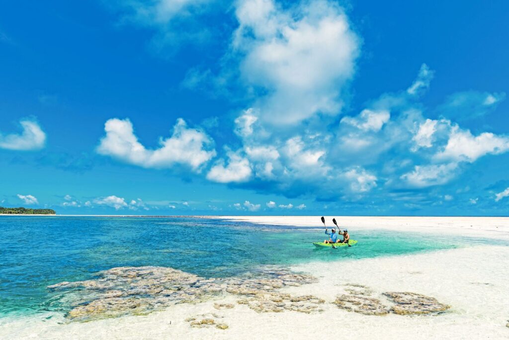 Seychelles; Alphonse August's island sightings and marine highlights, Aardvark McLeod