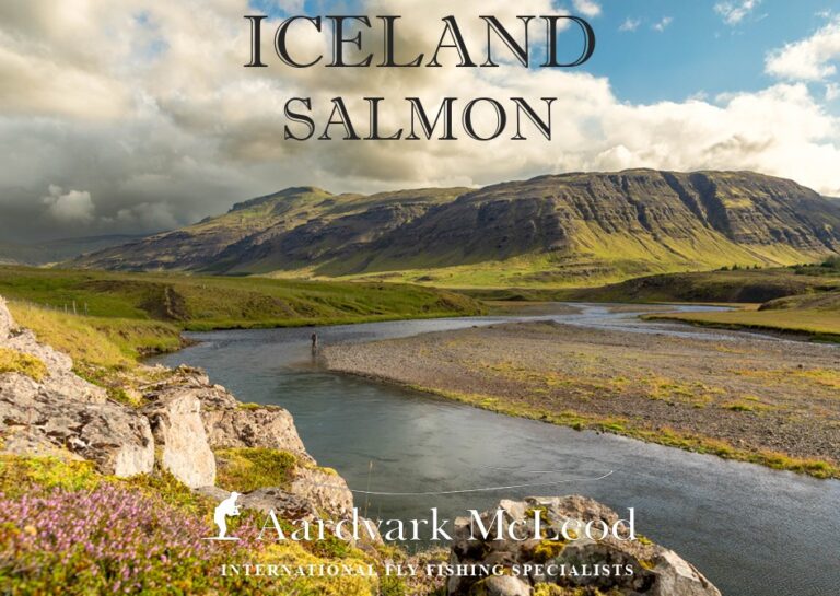 Iceland 2027 Aardvark McLeod