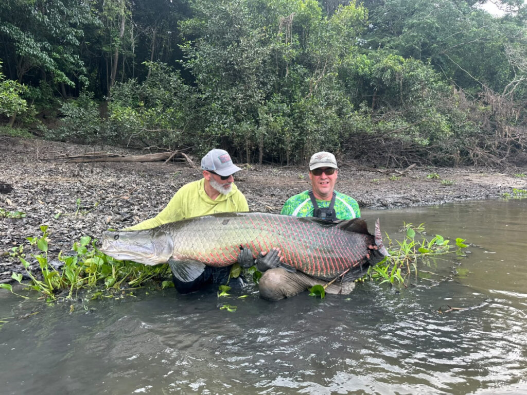 Pirarucu Lodge fishing reports 2026, arapiama fly fishing, Brazil, Aardvark McLeod