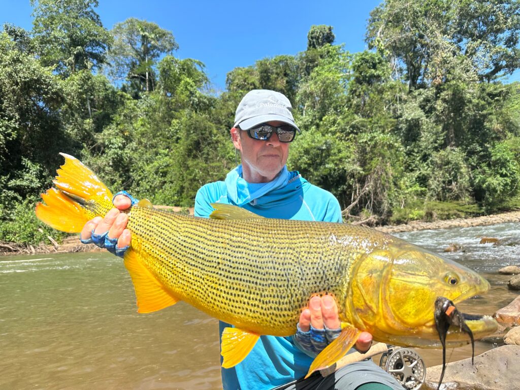 Tsimane fishing reports 2026, Agua Negra, Sécure, Pluma rivers. Aardvark McLeod