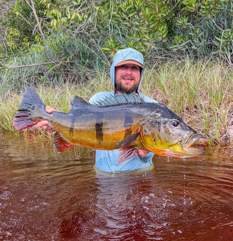 Brazil, peacock bass, Rio Marie, 2026/27 fishing reports, Aardvark McLeod