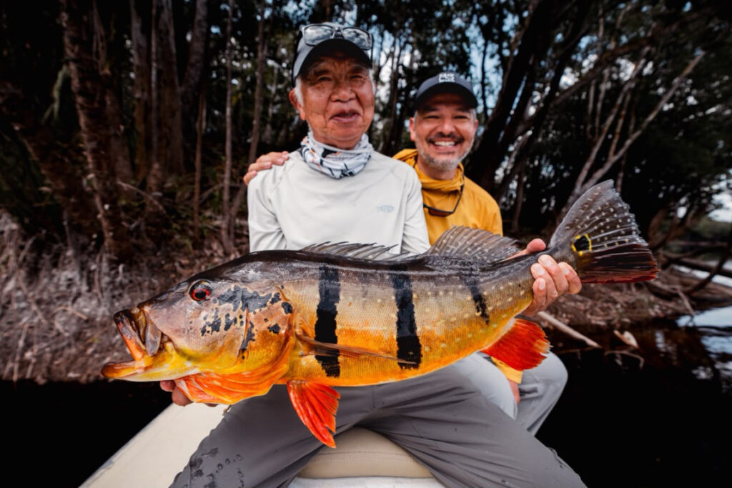Brazil, peacock bass, Rio Marie, 2026/27 fishing reports, Aardvark McLeod