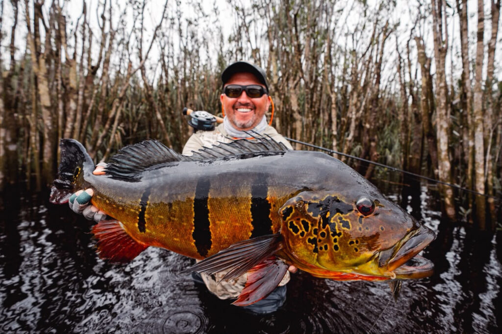 Brazil, peacock bass, Rio Marie, 2026/27 fishing reports, Aardvark McLeod