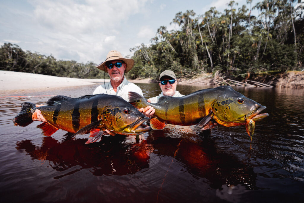 Brazil, peacock bass, Rio Marie, 2026/27 fishing reports, Aardvark McLeod