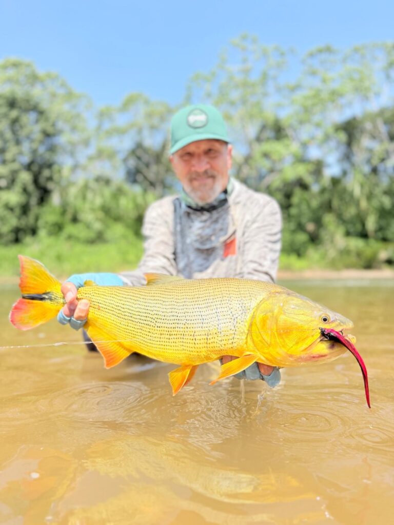 Tsimane fishing reports 2026, Agua Negra, Sécure, Pluma rivers.  Aardvark McLeod 