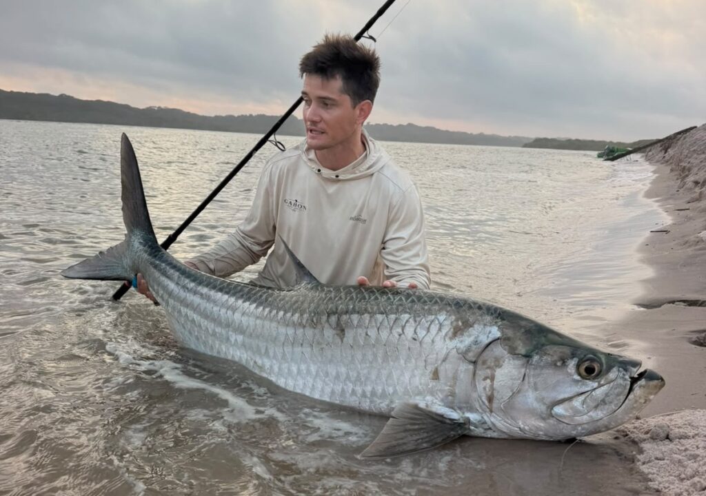 Gabon Sette Cama, tarpon, Aardvark McLeod