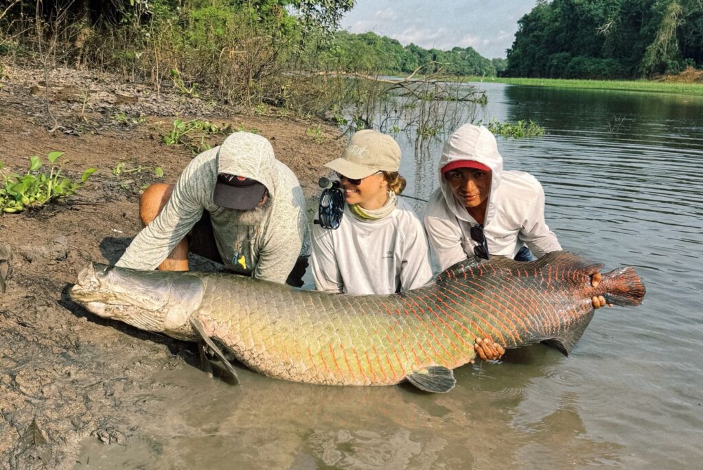 Pirarucu Lodge fishing reports 2026, arapiama fly fishing, Brazil, Aardvark McLeod 