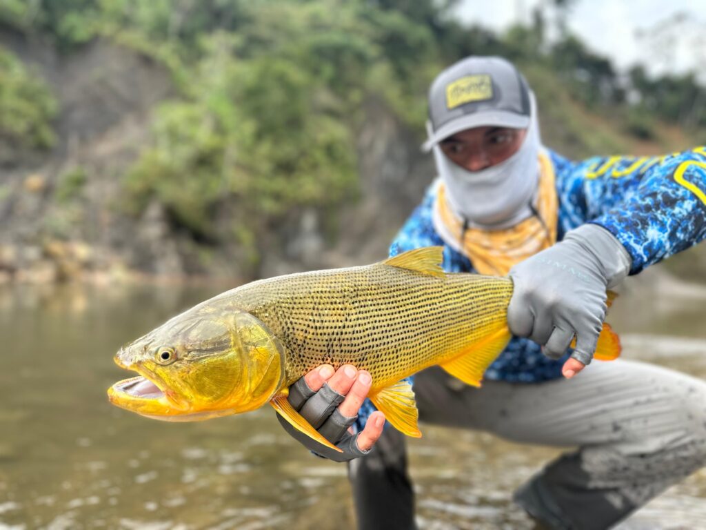 Tsimane fishing reports 2026, Agua Negra, Sécure, Pluma rivers. Aardvark McLeod