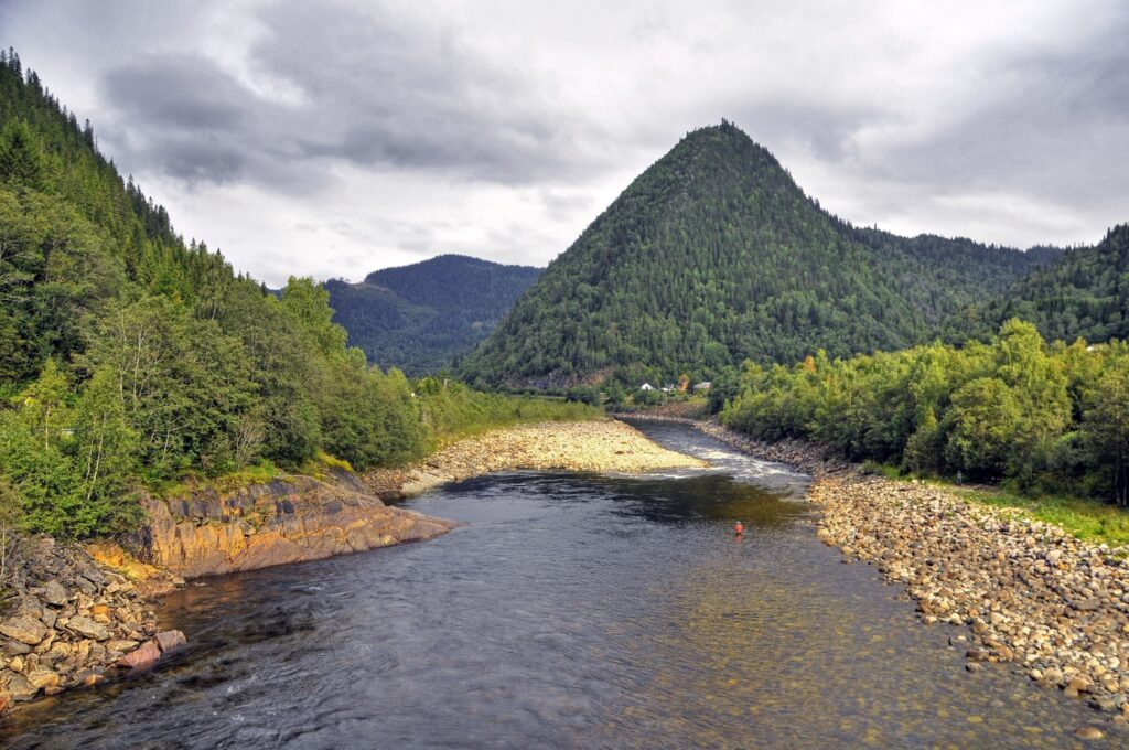 Gaula River, Norwegian Flyfishers Club, NFC, Norway, Atlantic salmon