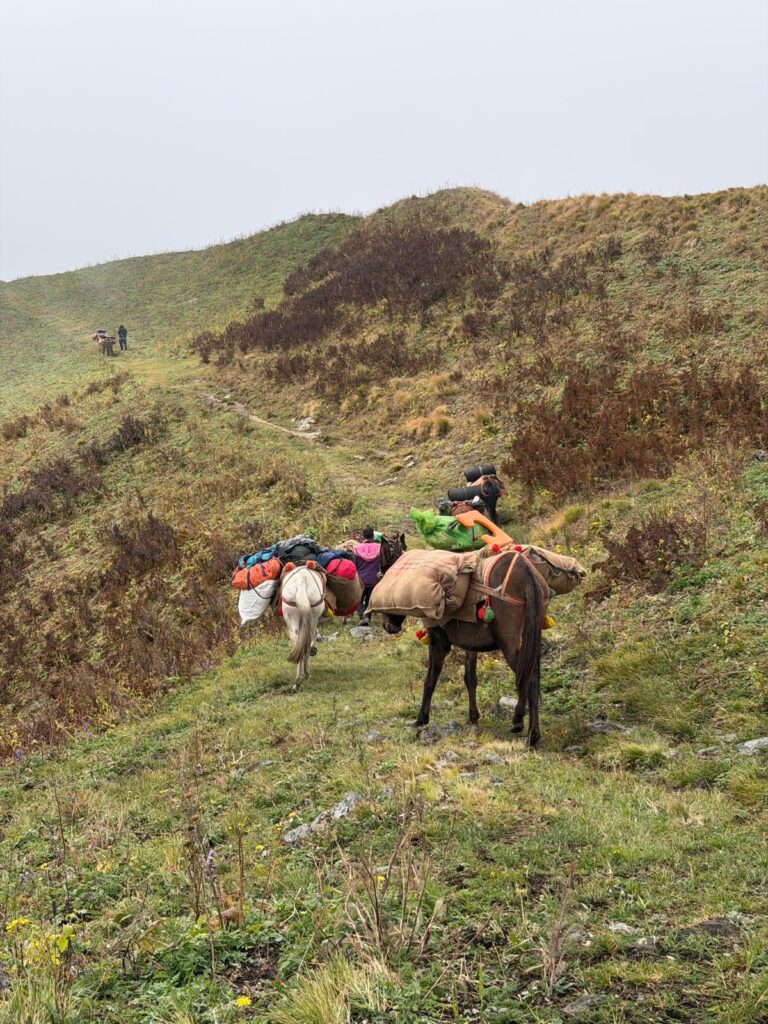 Thirteen mules and a Himalayan adventure, Indian trekking, Aardvark McLeod