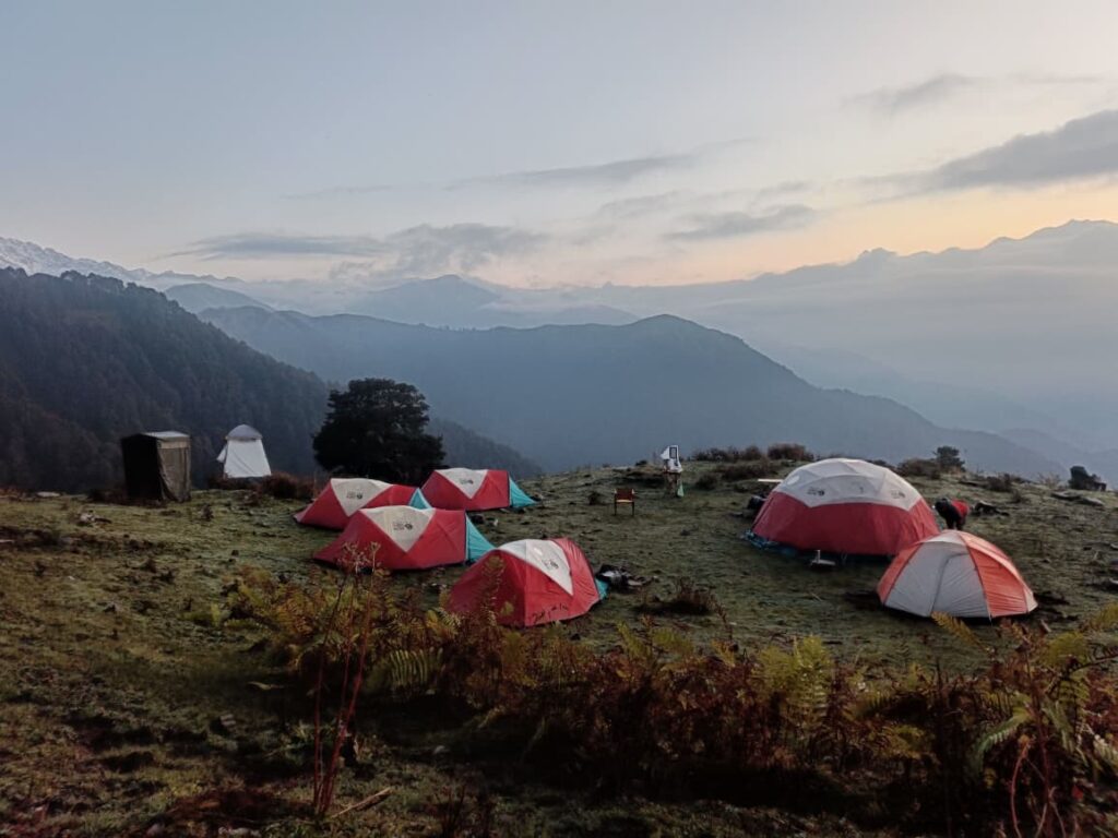 Thirteen mules and a Himalayan adventure, Indian trekking, Aardvark McLeod