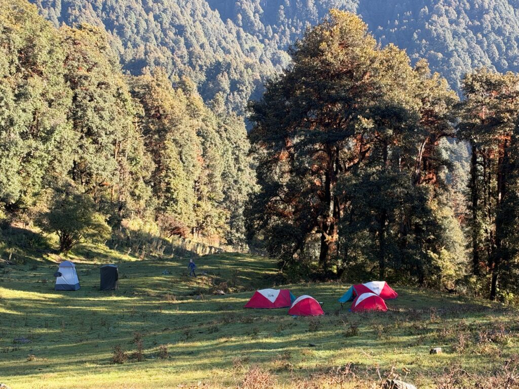 Thirteen mules and a Himalayan adventure, Indian trekking, Aardvark McLeod