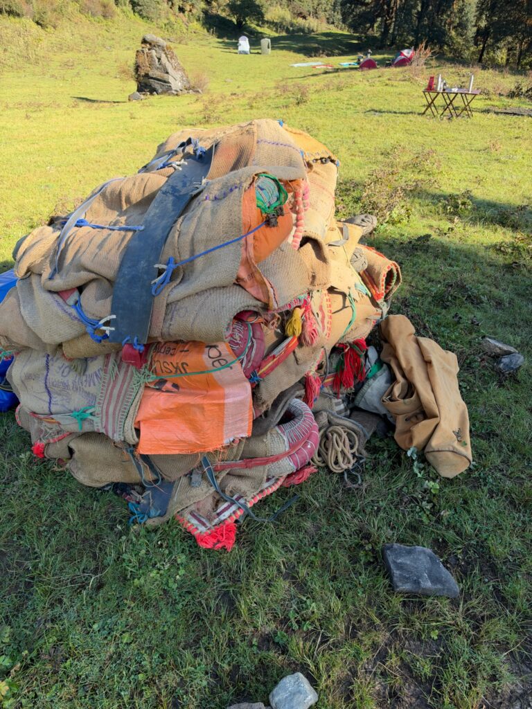 Thirteen mules and a Himalayan adventure, Indian trekking, Aardvark McLeod