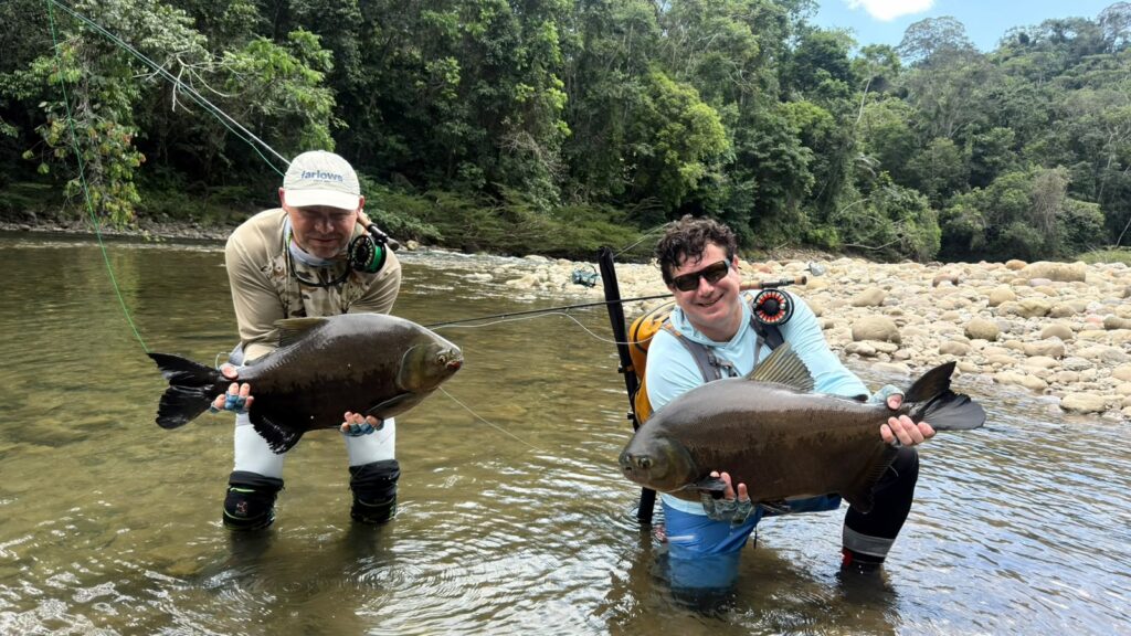 Tsimane fishing reports 2026, Agua Negra, Sécure, Pluma rivers. Aardvark McLeod