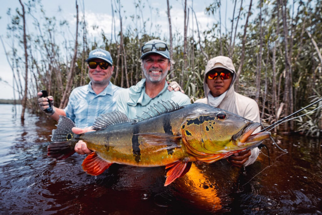 Brazil, peacock bass, Rio Marie, 2026/27 fishing reports, Aardvark McLeod